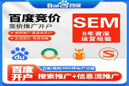 某电商平台的SEM优化托管实践与效果评估